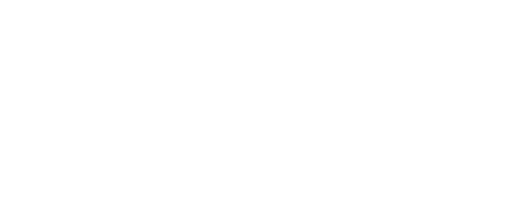 logo apini consulting